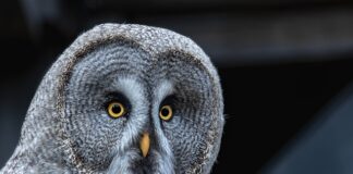 Jak budować siłę psychiczna?