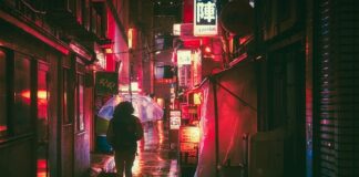 W jakim języku mówi się we Francji?