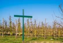 Jak napisać regulamin zawodów sportowych?