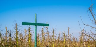 Jak napisać regulamin zawodów sportowych?