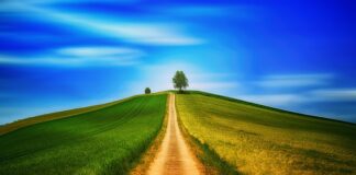 Czy chodzenie do psychologa to wstyd? Czy chodzenie do psychologa to wstyd?