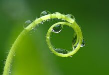 Co oznacza harmonijny rozwój?